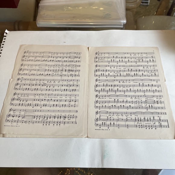 Beautiful Blue Danube Waltz Johann Strauss 1932 Lyrics Max‎ Freedman arr. Parker - Picture 3 of 4